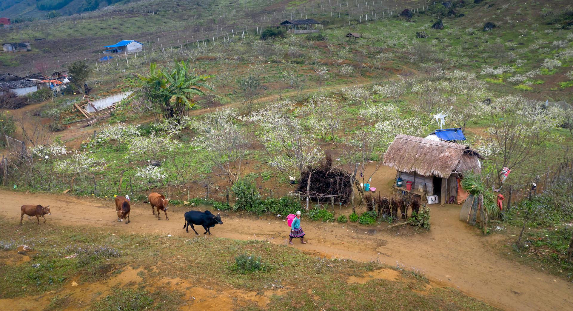 FangWallet Editors - Verified by FangWallet