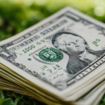 borrow $1,000 no credit check