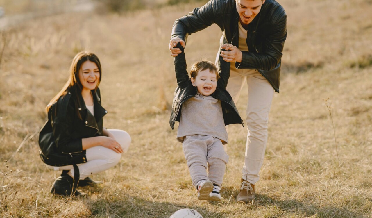 American Families Plan: What You Need to Know in 2025 - Verified by FangWallet