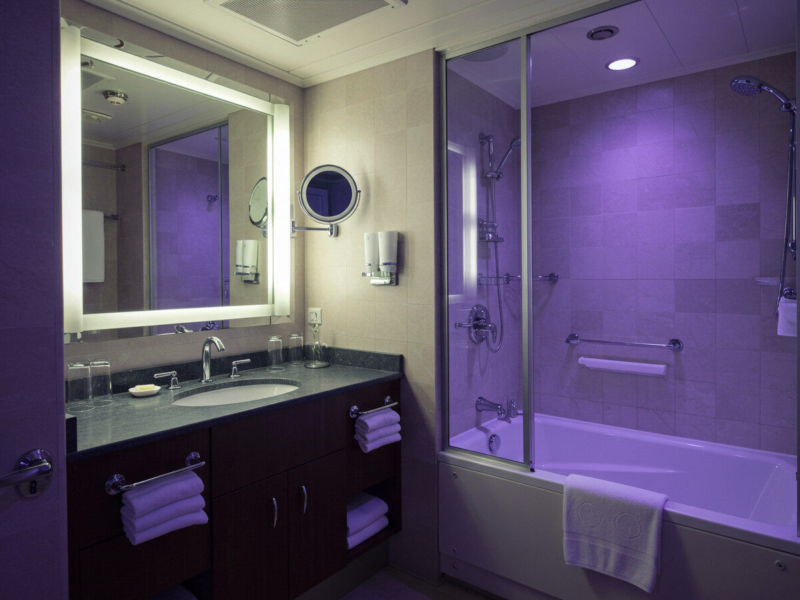 Carnival Cruise Bathroom Upgrades That Improve Your Stay - Verified by FangWallet