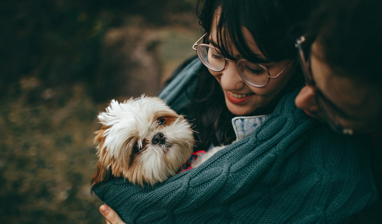 pet-insurance-pre-existing-conditions