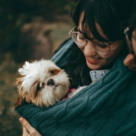 pet-insurance-pre-existing-conditions