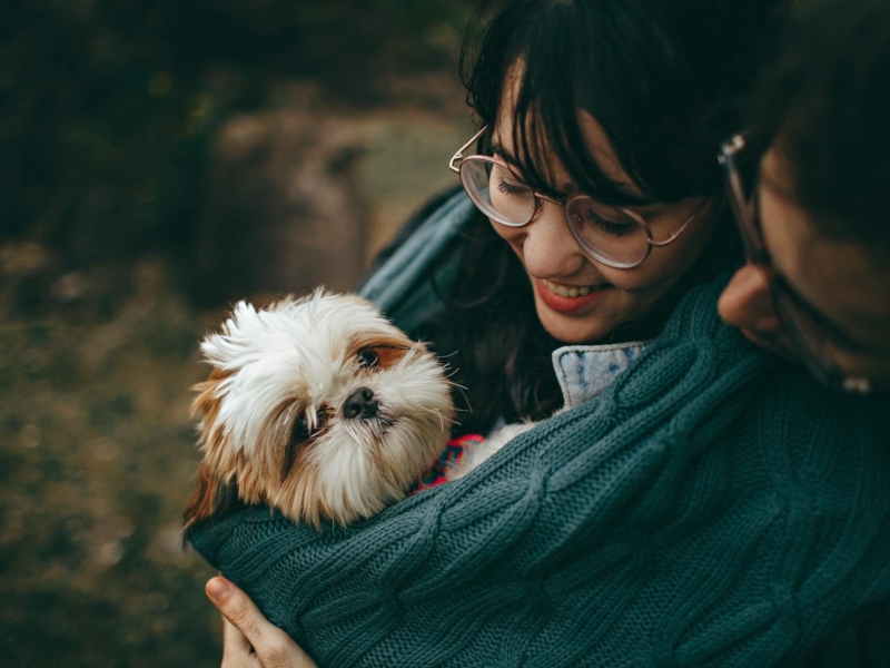 pet-insurance-pre-existing-conditions