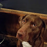 Profile picture of Debbie L