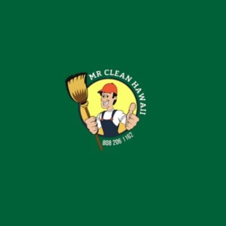 Profile picture of Mr Clean Hawaii